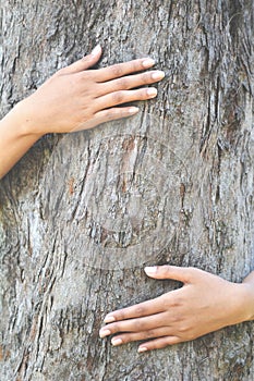 Women hug big tree