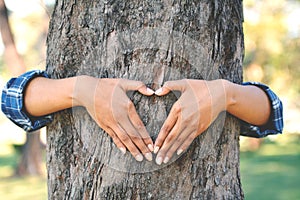 Women hug big tree