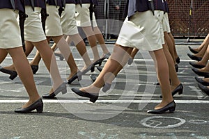 Women legs during military parade photo