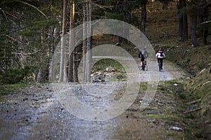 Women and mountain biking man riding on bikes in the mountains forest landscape