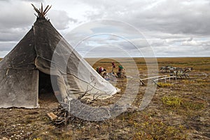 Women of Nenets nationality stay near their yurts and sled. Nomad Nenets people live in yurts whole year, migrate with reindeer