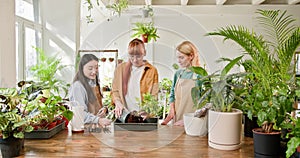 Women, one of Asian descent, sharing their love for gardening while working together in a flower shop, surrounded by