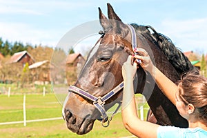 Women owner harnessing the stallion. Multicolored outdoors image