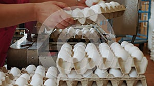 Women pack hen eggs by hands into the cardboard box