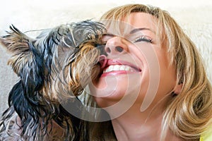 Women plays with a puppy of a terrier