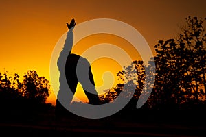 Women relaxing and exercising on moning of sihouette sky background