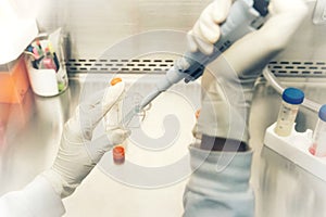 The women researcher using pipette and cell culture flask do the aseptic technique for changing the medium of adherent cell cultur