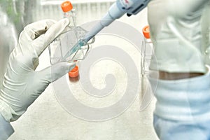 The women researcher using pipette and cell culture flask do the aseptic technique for changing the medium of adherent cell cultur