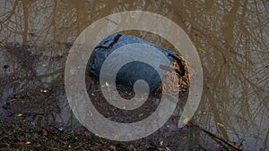 A women\'s bag filled with straw lies in the water on photo