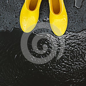 Women`s bright yellow rubber boots stand under raindrops on a black background in front of a puddle.