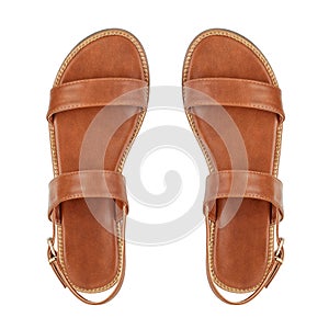 Women`s brown leather sandals isolated
