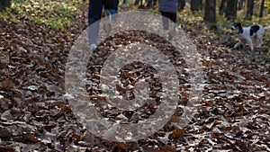 Women's and children's feet running through the fallen leaves in the forest. A young dog runs after them. Mother