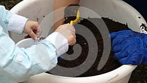 Women`s and children`s hands touch the ground in a pot