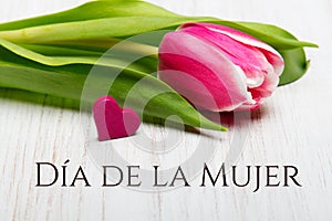 Women`s day card with Spanish words `DÃÂ­a de la Mujer`. photo