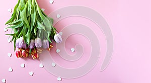 Tulip flowers with small hearts on pink background
