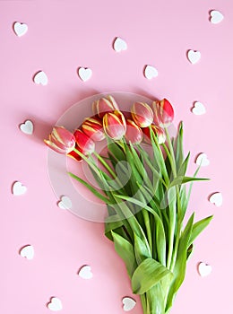 Tulip flowers and small hearts on soft pink background