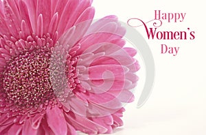 Women`s Day pink gerbera with purple ribbon and applied vintage wash filter.