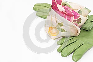 Women`s expensive silk scarf and green leather gloves