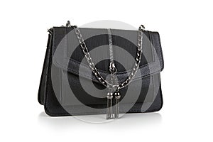 Women`s fashion accessories. Leather woman handbag on white background