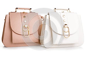 Women`s fashion accessories. Two leather woman handbag on white background