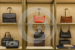 Women\'s fashion bags of different shapes, colors and sizes on display in a store. Style, beauty and comfort. Front view