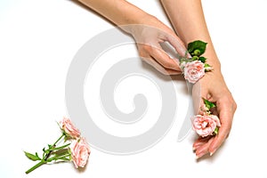 Women& x27;s fashion hands with natural cosmetics, pink roses beautiful flowers