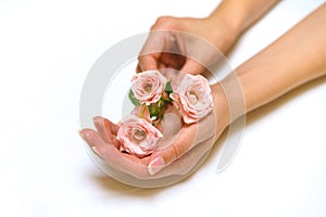 Women& x27;s fashion hands with natural cosmetics, pink roses beautiful flowers