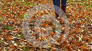 Women`s feet are on the autumn leaves in the Park.