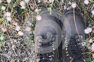 Women`s feet with brown women boots in the flower field.