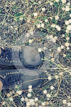 Women`s feet with brown women boots in the flower field.