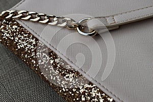 Women`s  gray Bag, Velvet, Vas Decoratic Circle , glitter