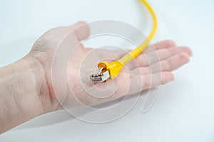 Women`s hand holds yellow RJ-45 cable