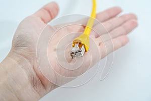 Women`s hand holds yellow RJ-45 cable