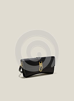 Women's handbag, Ladies bag