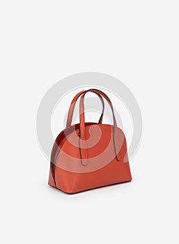 Women's handbag, Ladies bag