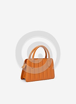 Women's handbag, Ladies bag