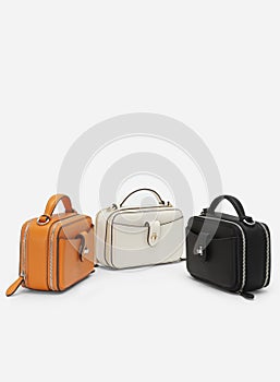 Women's handbag, Ladies bag