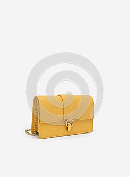 Women's handbag, Ladies bag