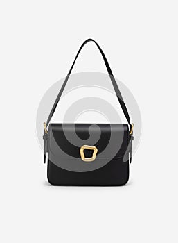 Women's handbag, Ladies bag