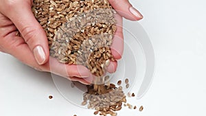 Women`s hands close-up hold a handful of red Uzbek rice, pouring grits on a white background. Eco food, quality