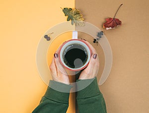 Women`s hands with coffee and dry leaves on a two-color background