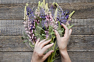 Women`s hands are collected in a bouquet of lupine flowers on a wooden background