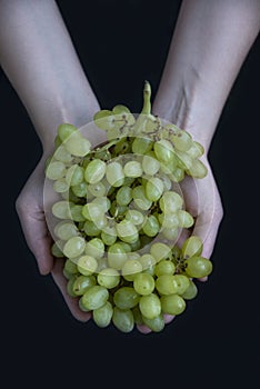 Women`s hands hold a branch of large, green grapes. Vertical photo