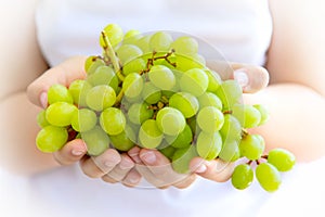 Women`s hands holding a large handful of ripe bunch of grapes