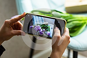 Women`s hands are holding the phone.with a photo of purple tulips