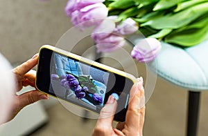 Women`s hands are holding the phone.with a photo of purple tulips