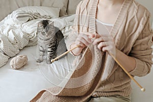women& x27;s hands knitting from woolen yarn and a cute funny tabby cat in cozy bed at home.