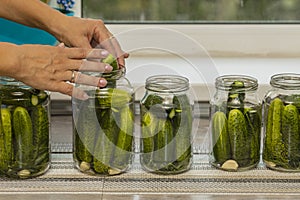 Women`s hands during the preparation of canned cucumbers in glass jars