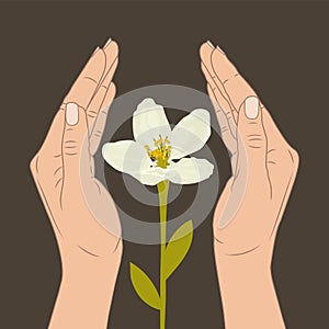 Women`s hands protect nature. Flower. Vector stock illustration eps10.