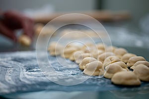 women's hands sculpt homemade dumplings close up